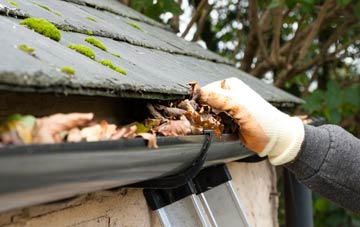 gutter cleaning Dalmally, Argyll And Bute